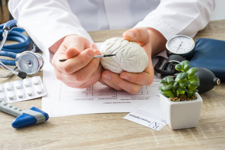 Doctor pointing out a model of the brain